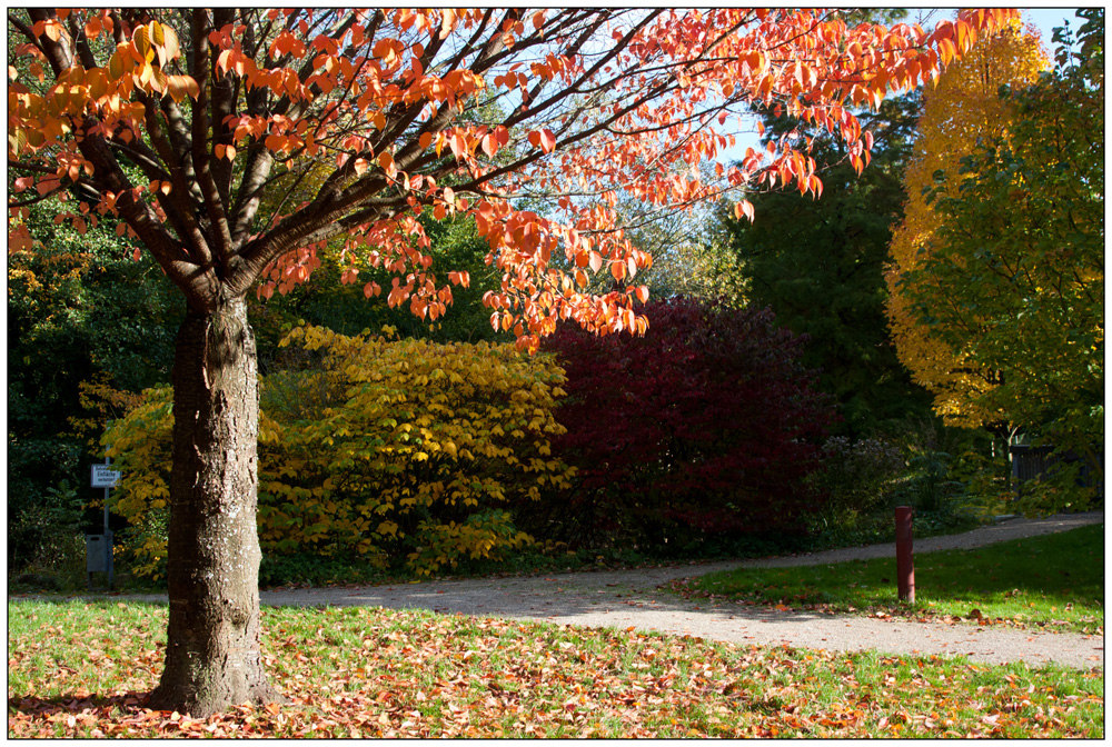 Herbst in Ettlingen 02