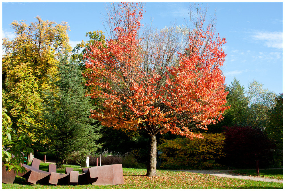 Herbst in Ettlingen