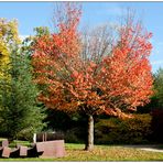 Herbst in Ettlingen