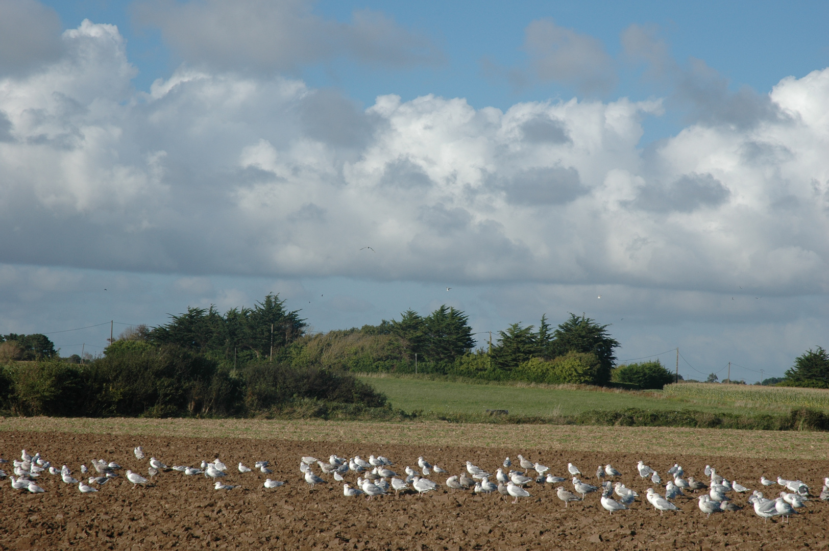 Herbst in Finistere