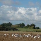 Herbst in Finistere