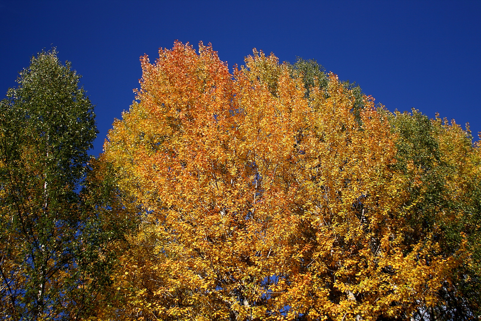 Herbst in Finnland...