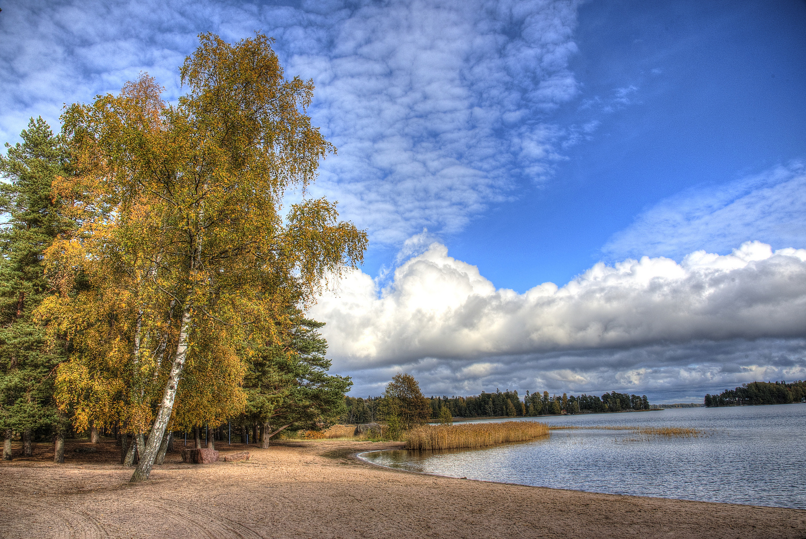 Herbst in Finnland 3