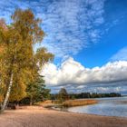 Herbst in Finnland 3