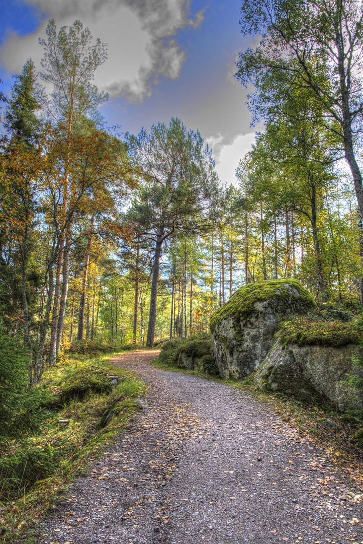 Herbst in Finnland 4