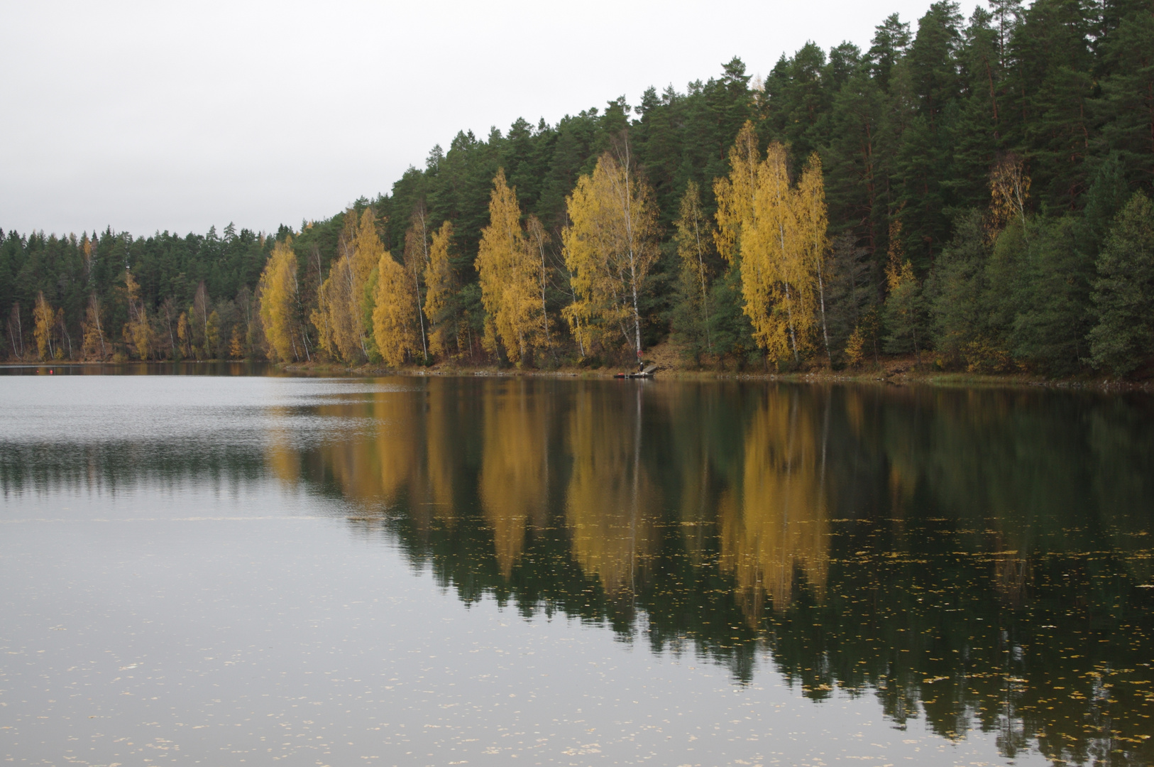 Herbst in Finnland