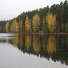 Herbst in Finnland