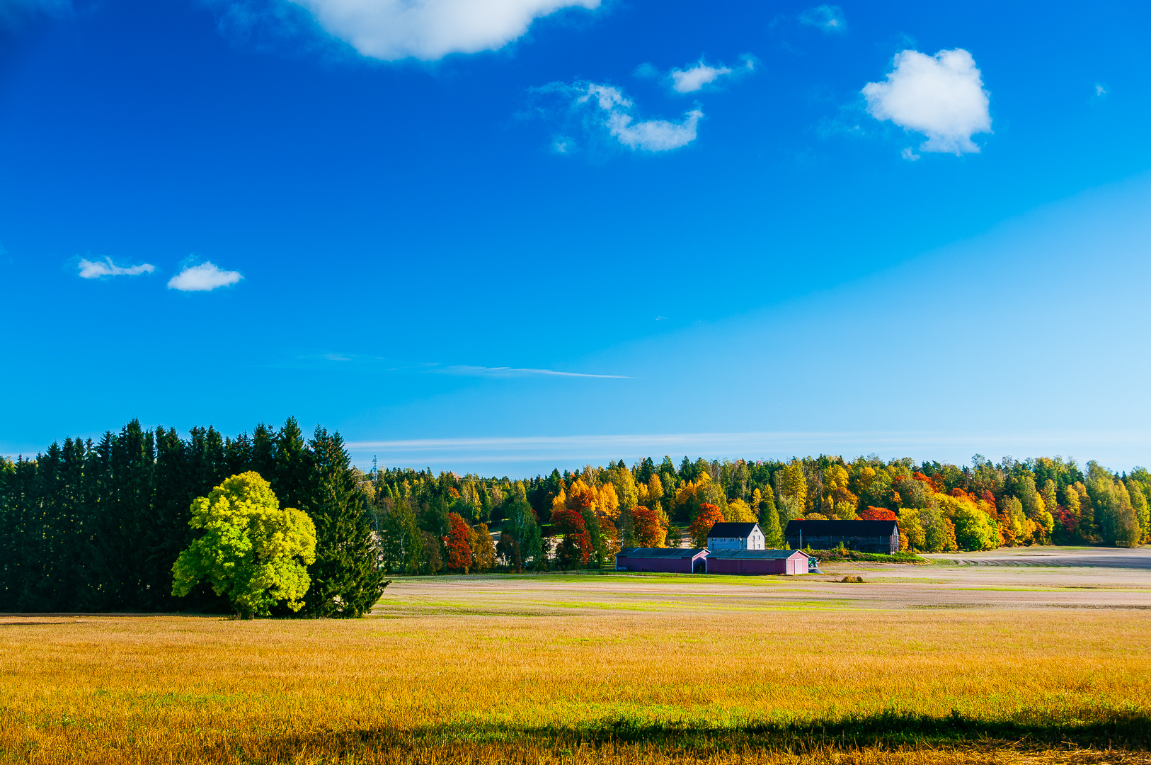 Herbst in Finnland (Uusimaa)
