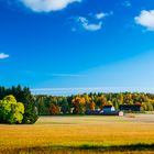 Herbst in Finnland (Uusimaa)