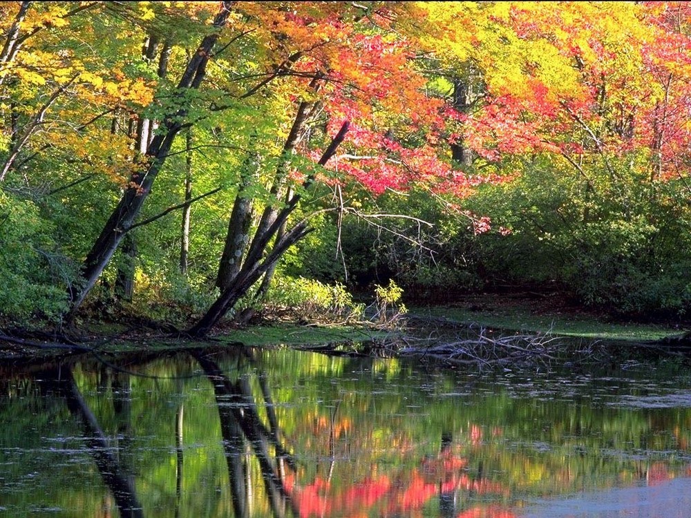 Herbst in Flammen