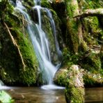 Herbst in Fluss