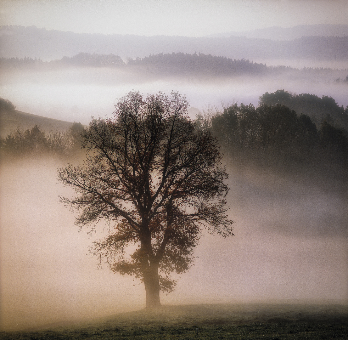 HERBST IN FRANKEN