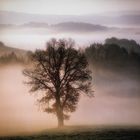 HERBST IN FRANKEN