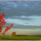 Herbst in Franken