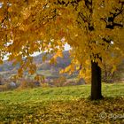 Herbst in Franken