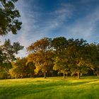 Herbst in Franken