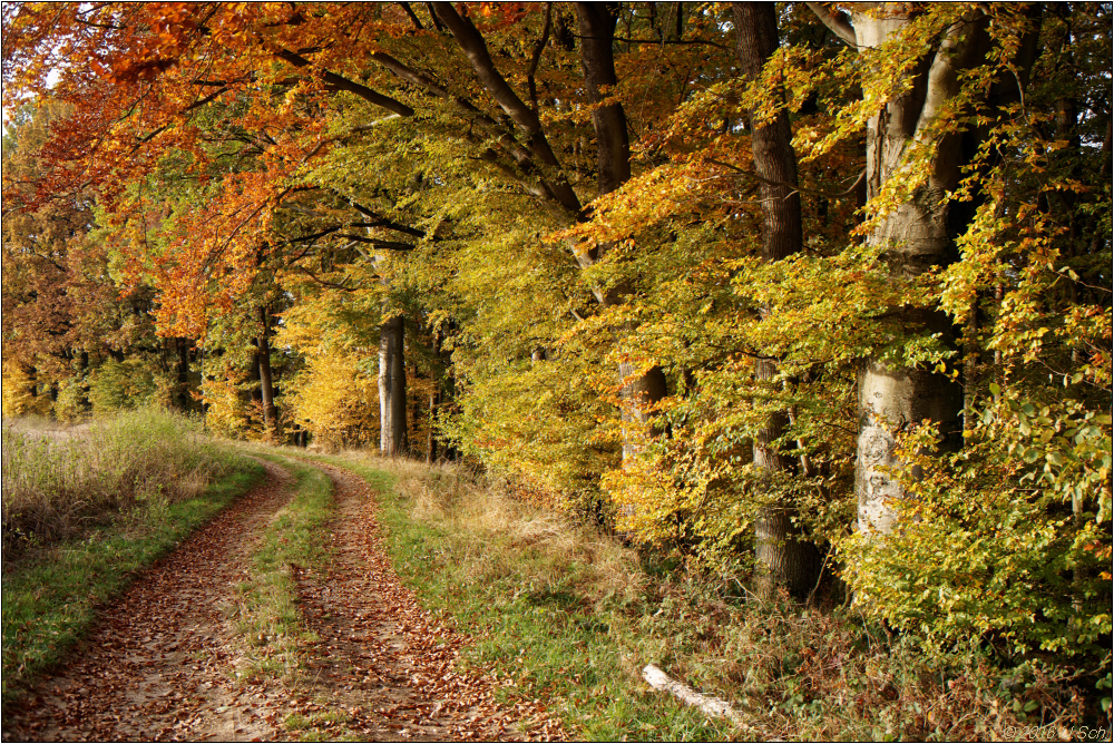 Herbst in Franken