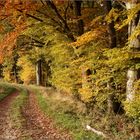 Herbst in Franken