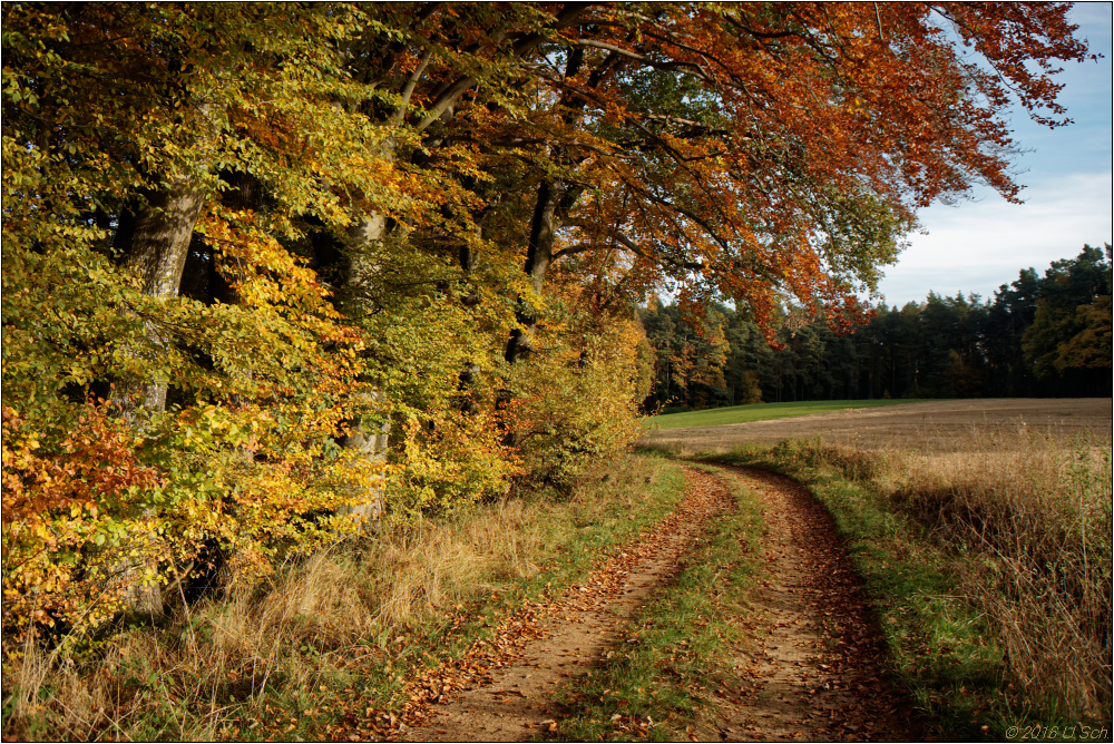 Herbst in Franken