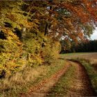 Herbst in Franken