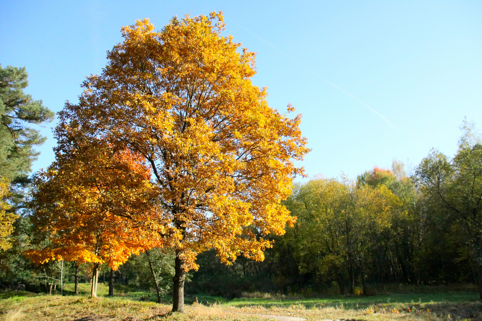 Herbst in Franken