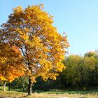 Herbst in Franken