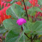 Herbst in Franken