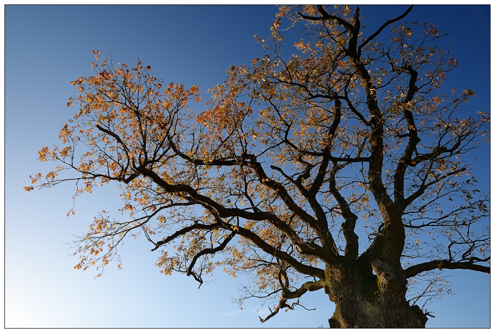 herbst in franken II