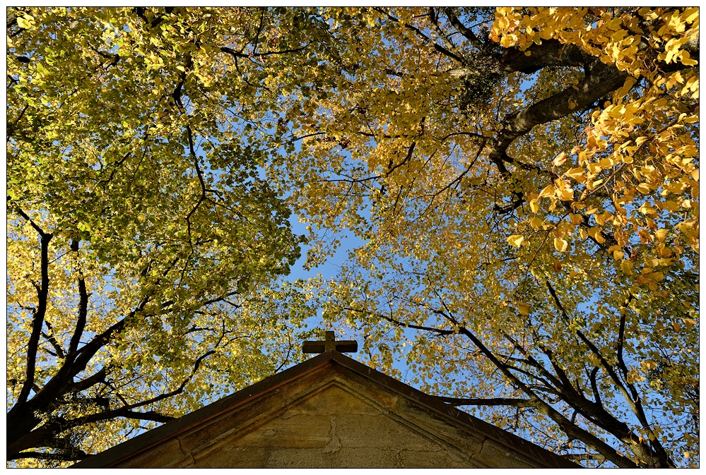 herbst in franken III