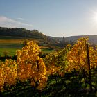 HERBST IN FRANKEN IV