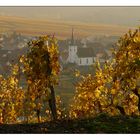 Herbst in Frankens Weinbergen