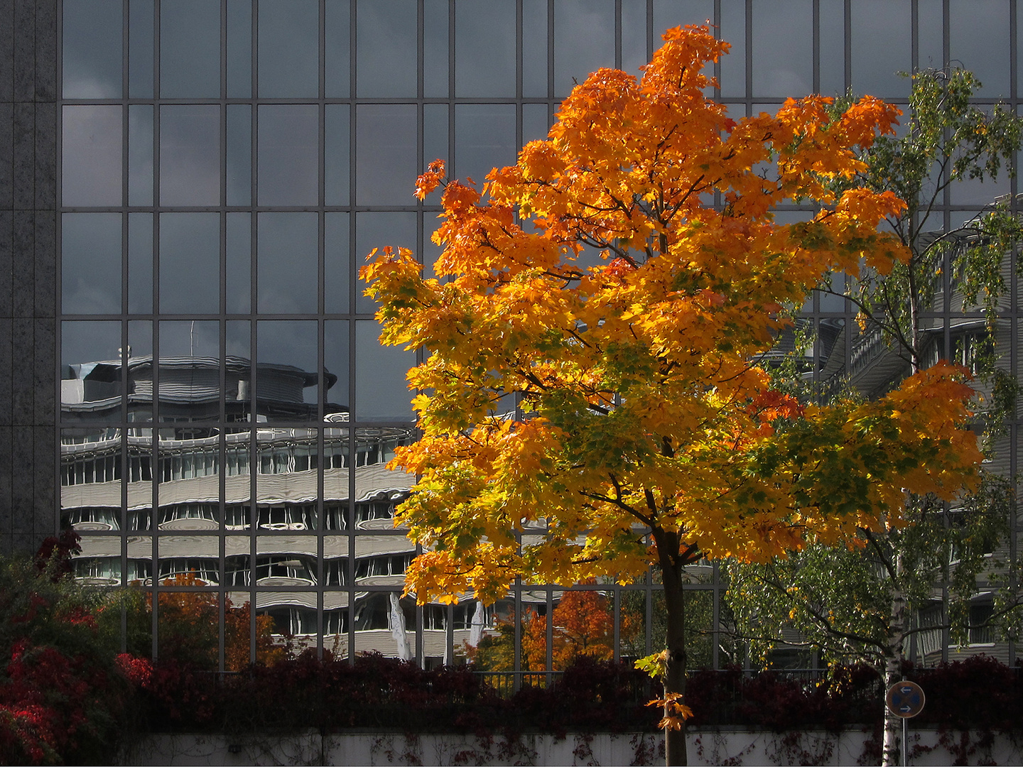 Herbst in Frankfurt