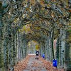 Herbst in Frankfurt