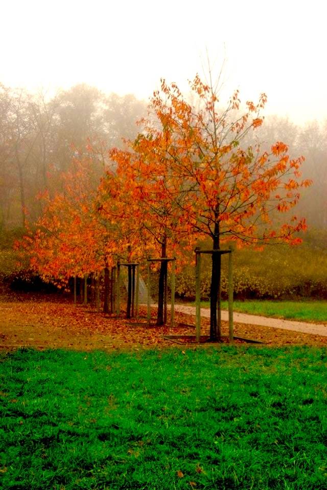 Herbst in Frankreich