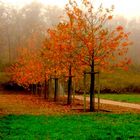 Herbst in Frankreich