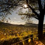 Herbst in Freiburg