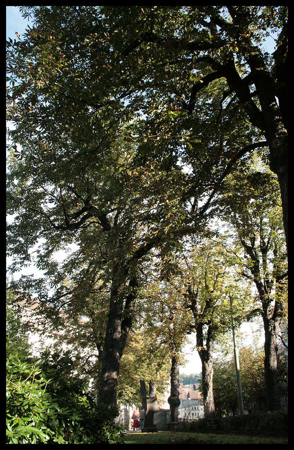 Herbst in Fribourg