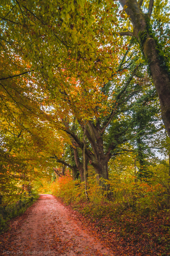 Herbst in Friedrichshafen 2