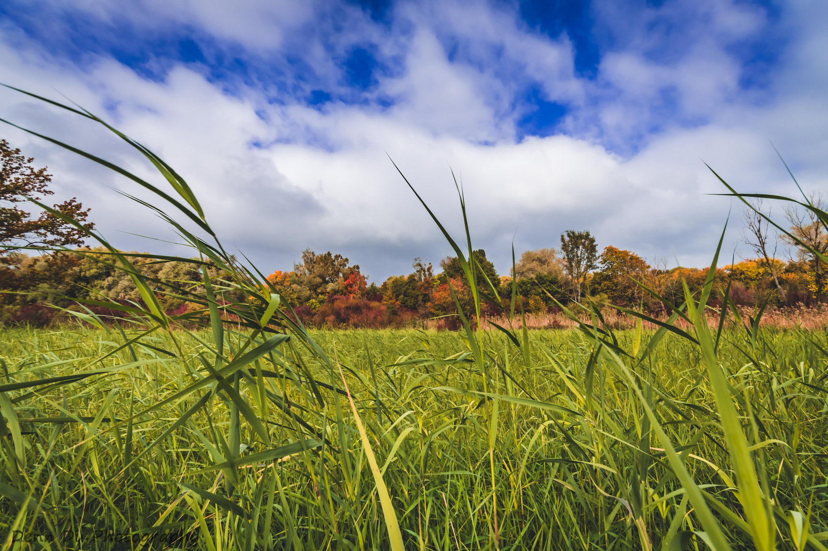 Herbst in Friedrichshafen