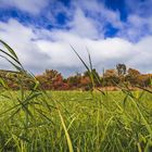 Herbst in Friedrichshafen