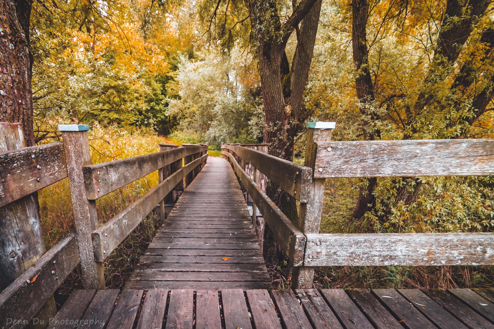 Herbst in Friedrichshafen 3