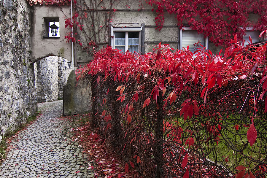 Herbst in Füssen I