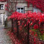 Herbst in Füssen I