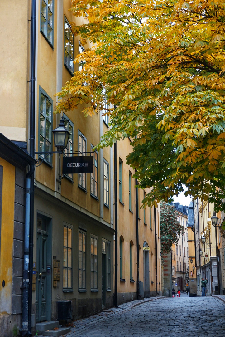 Herbst in Gamla Stan