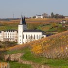 Herbst in Geisenheim