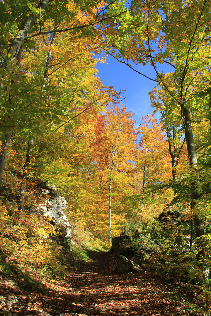 Herbst in Geislingen / Steige