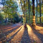 Herbst in Gelsenkirchen