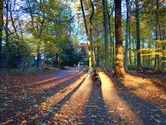 Herbst in Gelsenkirchen