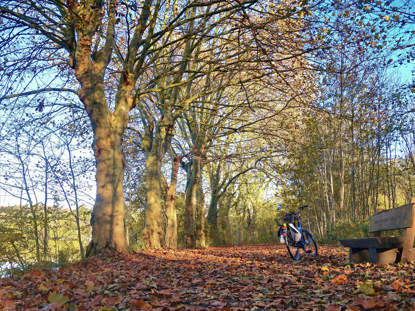 Herbst in Gelsenkirchen