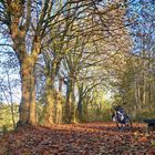 Herbst in Gelsenkirchen